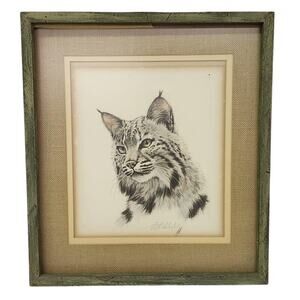 Guy Coheleach Bobcat Lithograph Signed in Green Wood Frame – Vintage